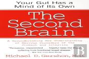 The Second Brain