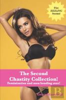 The Second Chastity Collection!