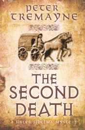 The Second Death (Sister Fidelma Mysteries Book 26)