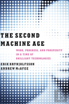 The Second Machine Age