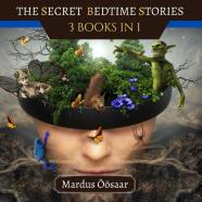 The Secret Bedtime Stories