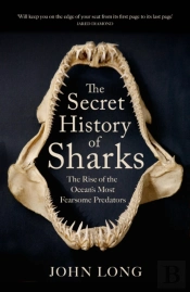 The Secret History Of Sharks