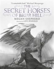 The Secret Horses Of Briar Hill