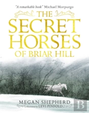 The Secret Horses Of Briar Hill
