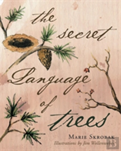 Bertrand.pt - The Secret Language Of Trees