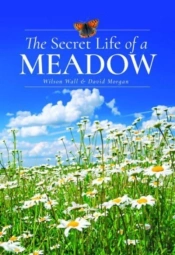 The Secret Life Of A Meadow