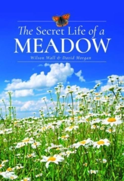 Bertrand.pt - The Secret Life Of A Meadow