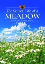 The Secret Life Of A Meadow
