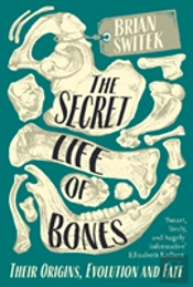 The Secret Life Of Bones