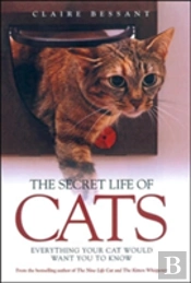 The Secret Life Of Cats