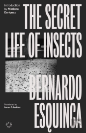 The Secret Life Of Insects