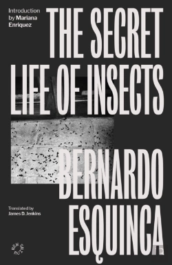 Bertrand.pt - The Secret Life Of Insects