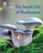 The Secret Life Of Mushrooms