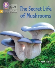 The Secret Life Of Mushrooms