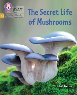Bertrand.pt - The Secret Life Of Mushrooms