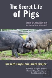 The Secret Life Of Pigs