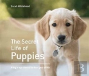 The Secret Life Of Puppies