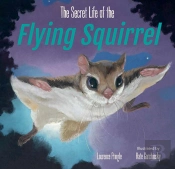 The Secret Life Of The Flying Squirrel