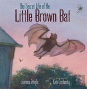 The Secret Life Of The Little Brown Bat