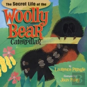 The Secret Life Of The Woolly Bear Caterpillar