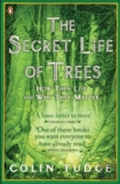 The Secret Life Of Trees