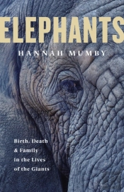 The Secret Lives Of Elephants