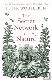 The Secret Network Of Nature