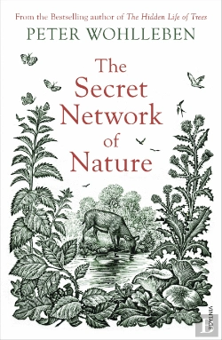 Bertrand.pt - The Secret Network Of Nature