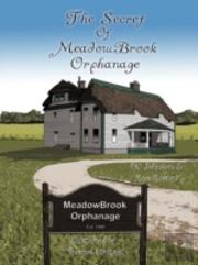 The Secret Of Meadowbrook Orphanage