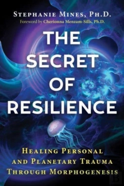 Bertrand.pt - The Secret Of Resilience