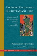 The Secret Revelations Of Chittamani Tara
