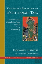 The Secret Revelations Of Chittamani Tara