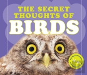 The Secret Thoughts Of Birds