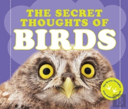 Bertrand.pt - The Secret Thoughts Of Birds