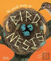 The Secret World Of Bird Nests