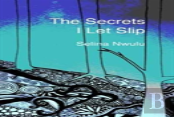 The Secrets I Let Slip