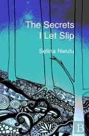 The Secrets I Let Slip