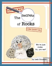 The Secrets Of Rocks