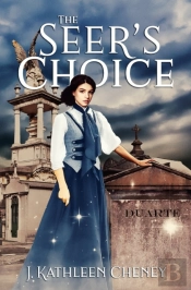 The Seer'S Choice