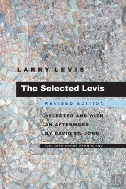 Bertrand.pt - The Selected Levis