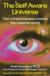 The Self-Aware Universe