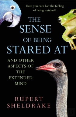 Bertrand.pt - The Sense Of Being Stared At