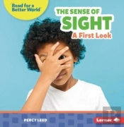 The Sense Of Sight