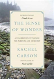 The Sense Of Wonder