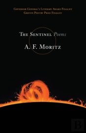 The Sentinel