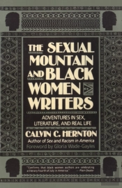 The Sexual Mountain And Black Women Writers