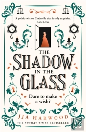 The Shadow In The Glass