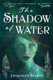 The Shadow Of Water
