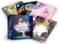 The Shaman'S Dream Oracle