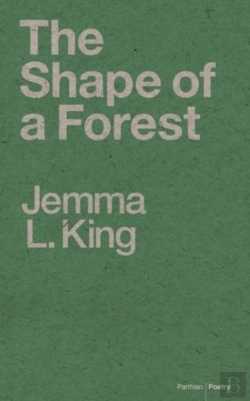 Bertrand.pt - The Shape Of A Forest